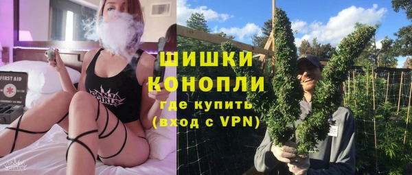 винт Ельня