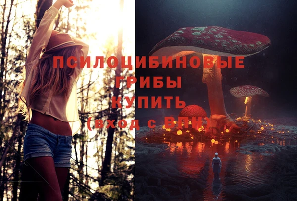 винт Ельня