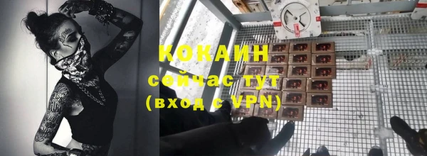 винт Ельня
