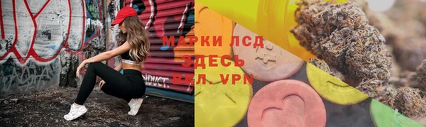 винт Ельня
