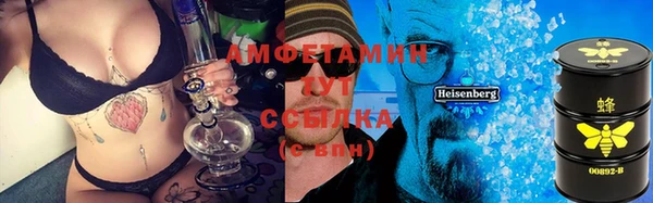 винт Ельня